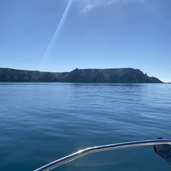 4 Hour Lundy Experience Catamaran Cruise