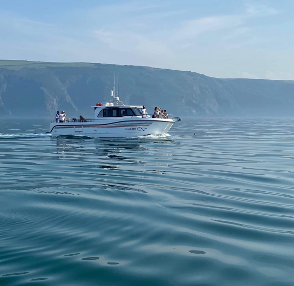 1 Hour Catamaran Cruise