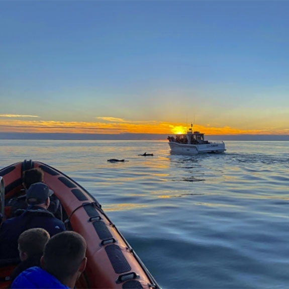1.5 Hour Sunset Catamaran Cruise